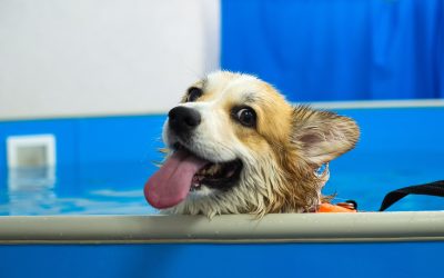 Achieving Independence: Graduating from Injury Rehabilitation with Balanced Bodies